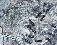 电位器类零部件-4